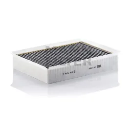 POLEN FİLTRESİ [ JAGUAR DAİMLER V8 SUPER 4.2 AJ34 ]