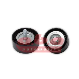 ALTERNATÖR GERGİ RULMANI