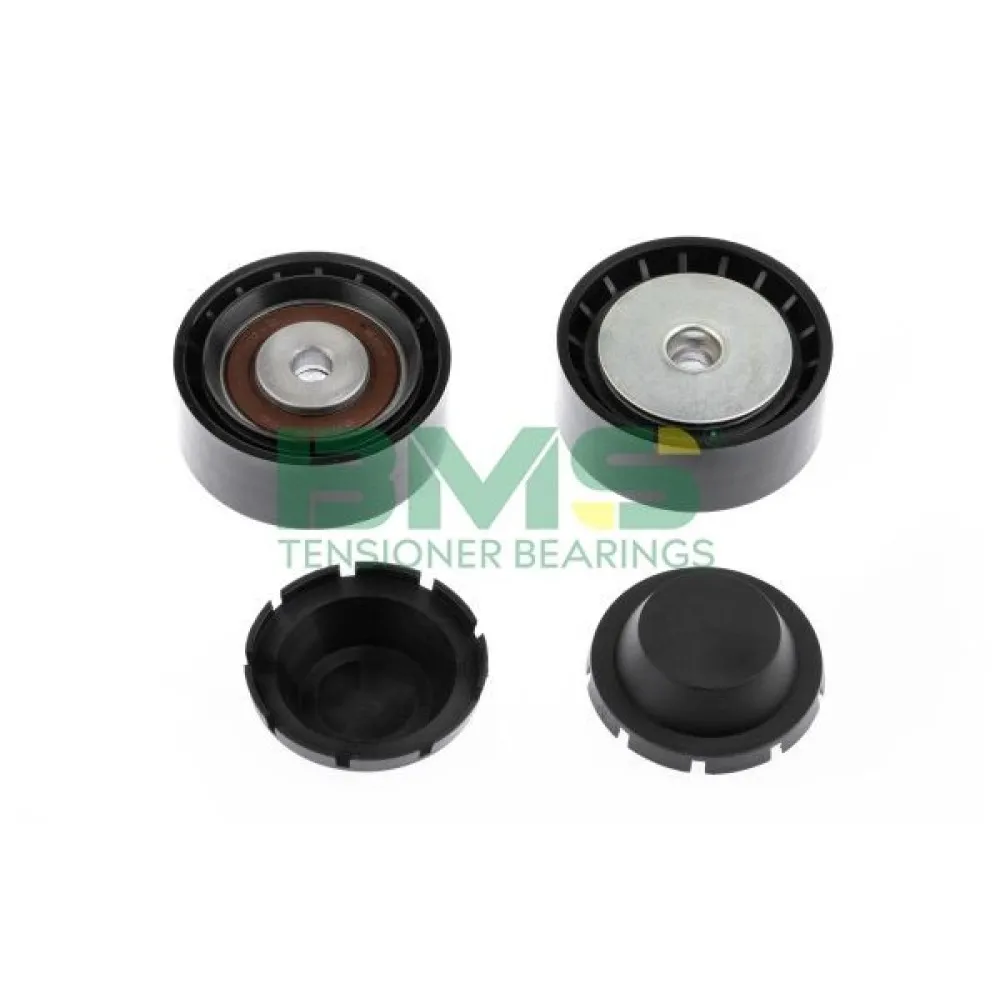 Alternatör Gergi Rulmani Clio-Kangoo 1.2 16V 01