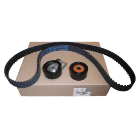 EKSANTRİK GERGİ KİTİ 141x25.4 C5 III-C4 II-DS4-P208-P308-P3008-P5008-P2008-PARTNER TEPE- BERLINGO III-C3 III-DS3-DS5-P301-C ELYSEE DV6C-DV6DTED E5 -TRANSİT COURIER-B-MAX-C-MAX 1.6TDCI Euro5