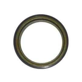 Abs Okuyucu Halka Arka Sandero Clio Iv