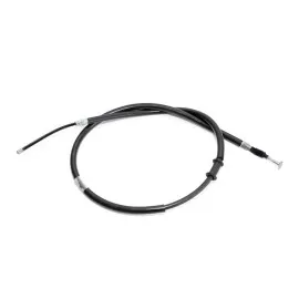 El Fren Telleri Arka Sağ Palio / Siena