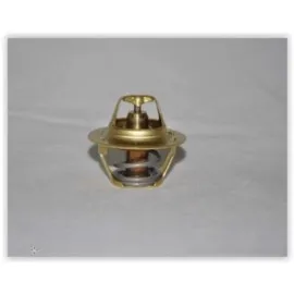 Termostat 89C Megane I-Ii-R19-Clio Ii-1.4-1.6 16V-Kangoo-Laguna I-Ii 1.9Dci C2 Dacia