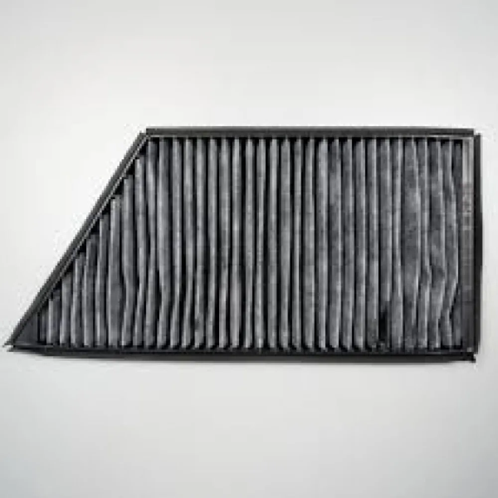 Polen Filtresi (Peugeot 206)Karbonlu