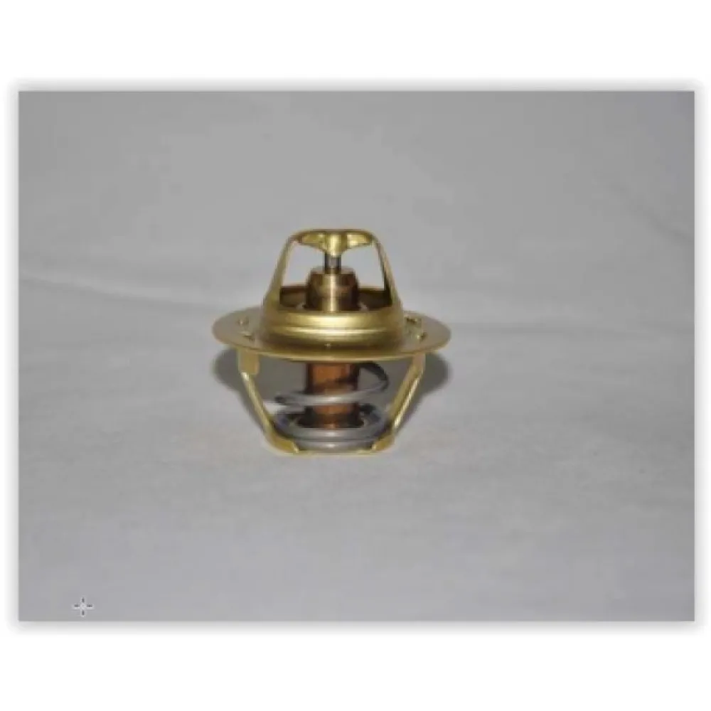 Termostat 89C Megane I-Ii-R19-Clio Ii-1.4-1.6 16V-Kangoo-Laguna I-Ii 1.9Dci C2 Dacia