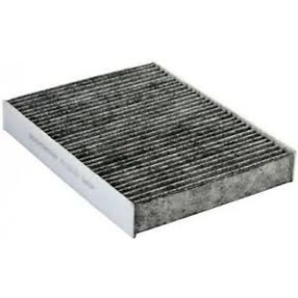 Polen Filtresi (Nissan X-Trail - Nissan Maxima) 01--