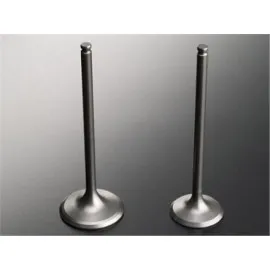 Subap Emme Eksoz Palio-Stilo 1.2 2005 Mod. 16V In-8/ex-8