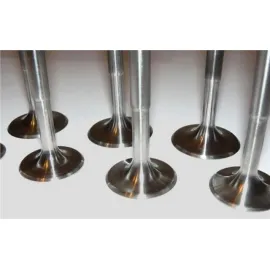 SUBAP TAKIMI FIAT PALIO, BRAVO,MAREA 1.6  16V(16 SUBAP)