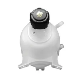 Genleşme Kavanoz Kapaği Kng-Clio Iii-Iv-Mgn Ii-Iii-Fluence-Master Ii-Trafic-Latitude-Logan-Sandero