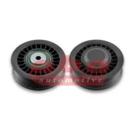 Alternatör Gergi Rulmani Crafter 2.5 Tdi 06- (76Mm)