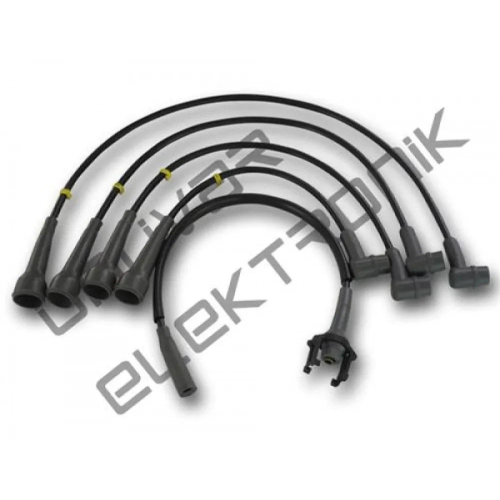 Buji+Bobin Kablosu (Lpgli) R11 Flash-R21 Manager