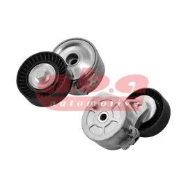Alternatör Gergi Rulmani P206-306-406-607-806-Partner-Boxer-C5-Berlingo Dw10 2.0Hdi-2.2Hdi
