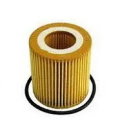 Yağ Filtresi Ford Ranger 2012 2.2 Tdci 150Hp 11/11-