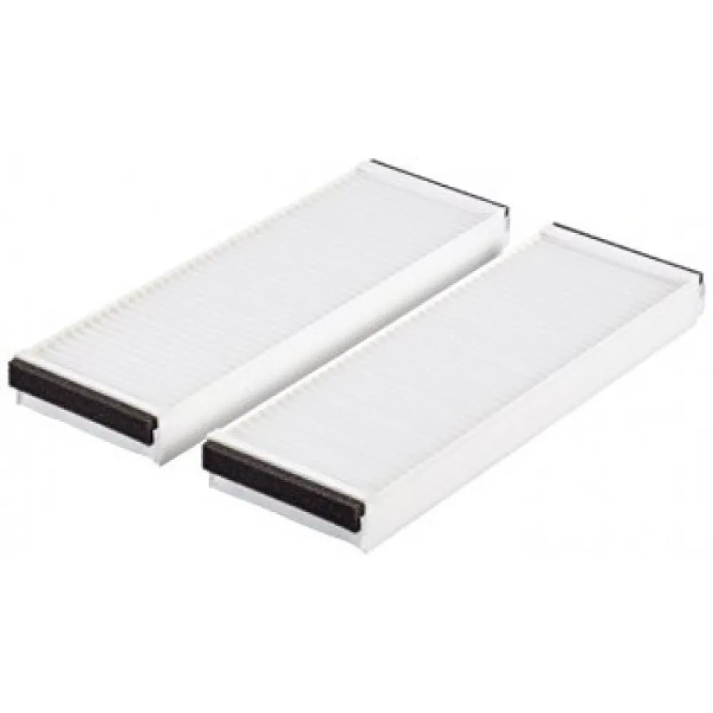 Polen Filtresi A6  (Çift)