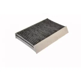 Polen Filtresi Megane Iii 08- (Karbonlu)