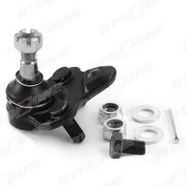 Toyota Corolla Rotil