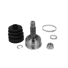 Aks Kafası Diş 26 30 49 82 Rho2985