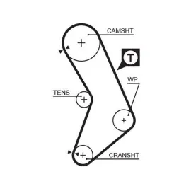 TRİGER KAYIŞI 129x150 129 DİŞ PALIO-SIENA-PANDA 1.2 CT999