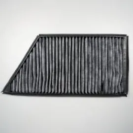 Polen Filtresi (Peugeot 206)Karbonlu