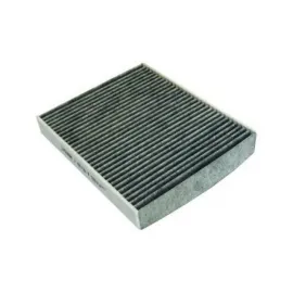 Polen Filtresi (Focus Ii)Karbonlu