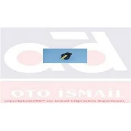 TEVZİ MAKARASI R11 FLASH 1.7 ORJ.ÜRÜN