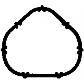 EMME MANİFOLD CONTASI (TK.4 AD.) CLİO II-IIİ-TWNG 1.2 16V (D4D 700/720-D4F702/704/708/722/728/730/73