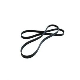 Kanalli Kayiş Fiat Punto 1.7Td 94-99 Honda Nissan Toyota Vw New Beetle 2.5T 20V 05 Audi