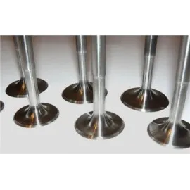 Subap Takimi Fiat Palio, Bravo,marea 1.6  16V(16 Subap)