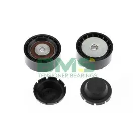 Alternatör Gergi Rulmani Clio-Kangoo 1.2 16V 01