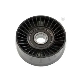 V Kayis Gergi Rulmani Bmw E39 E53 M62