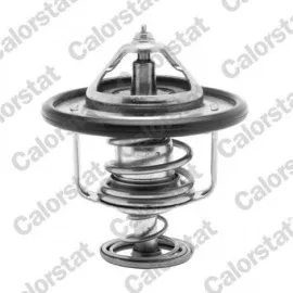 Termostat Hyundai H1-Starex 2.5D 01 Terracan 2.5D 01 Kia Pregio-K2500 2.5D 03