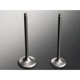 Subap Emme Egzoz Takimi Hyundai İ20 1.2 16V Stellitli Lpg Li Araçlar In-8 Ex-8