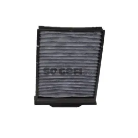 Polen Filtresi (Karbonlu) [ Renault Megane Ii 1.4 16V/1.5 Dci/1.6 16V/1.9 Dci/2.0 16V/2.0 Dci 2002-2009 ]