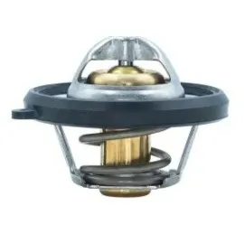 Termostat İçi 54 C Ford Fiesta-Focus-Puma-Ecosport 18> 1.0 Ecoboost