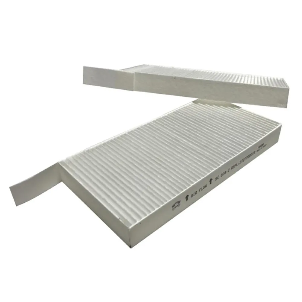 Polen Filtresi Laguna Iii 07-