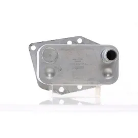 Motor Yag Sogutucu Disel Bmw M47N2 E87 E46 E90 E39 E60 E83