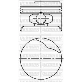 Motor Piston Segman Mgn 1600 8 V 1/2 79.50 Çap Std