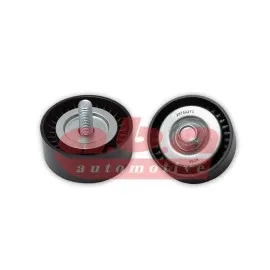 Alternatör Gergi Rulmani