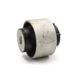 Salincak Burcu Focus Iv