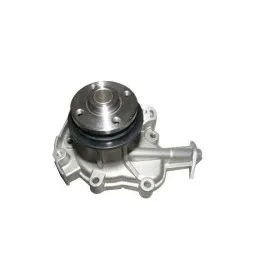 Devirdaim Suzuki Alto