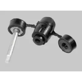 Viraj Tamir Takimi Clio-Kng