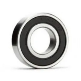 ON TEKER RULMANI EM DIS R12