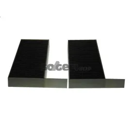 Polen Filtresi Astra L 21 P308 Ii-Iii 13 P508 18 Karbonlu