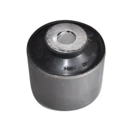 Salincak Burcu T5 04- Buyuk