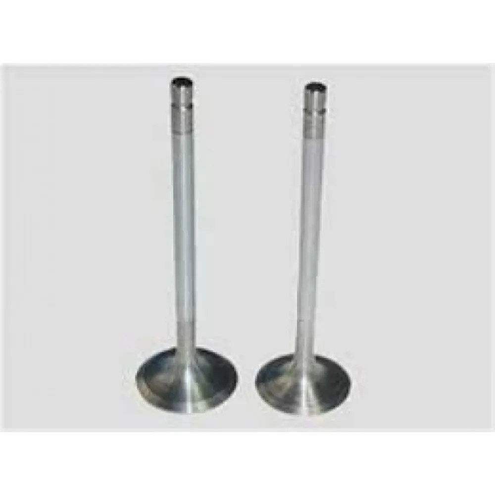 Subap Emme Eksoz Peugeot 607-4007Citroen C5-C8-Freelander 2.2 Hdi 16V Eng-4Ht Dw12Bted4 In-8/ex