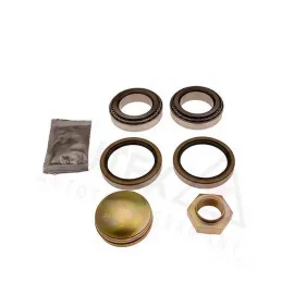 ÖN TEKER RULMANI KİT DUCATO-BOXER-JUMPER 94-02