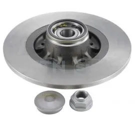 Arka Fren Aynasi Rulmanli Kng 1.6-1.6 16V-1.5 Dci 2010 300X11X88X5Dl Dolu 8200381148