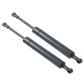 Bagaj Amortisoru Mercedes S-Class W221 05 13