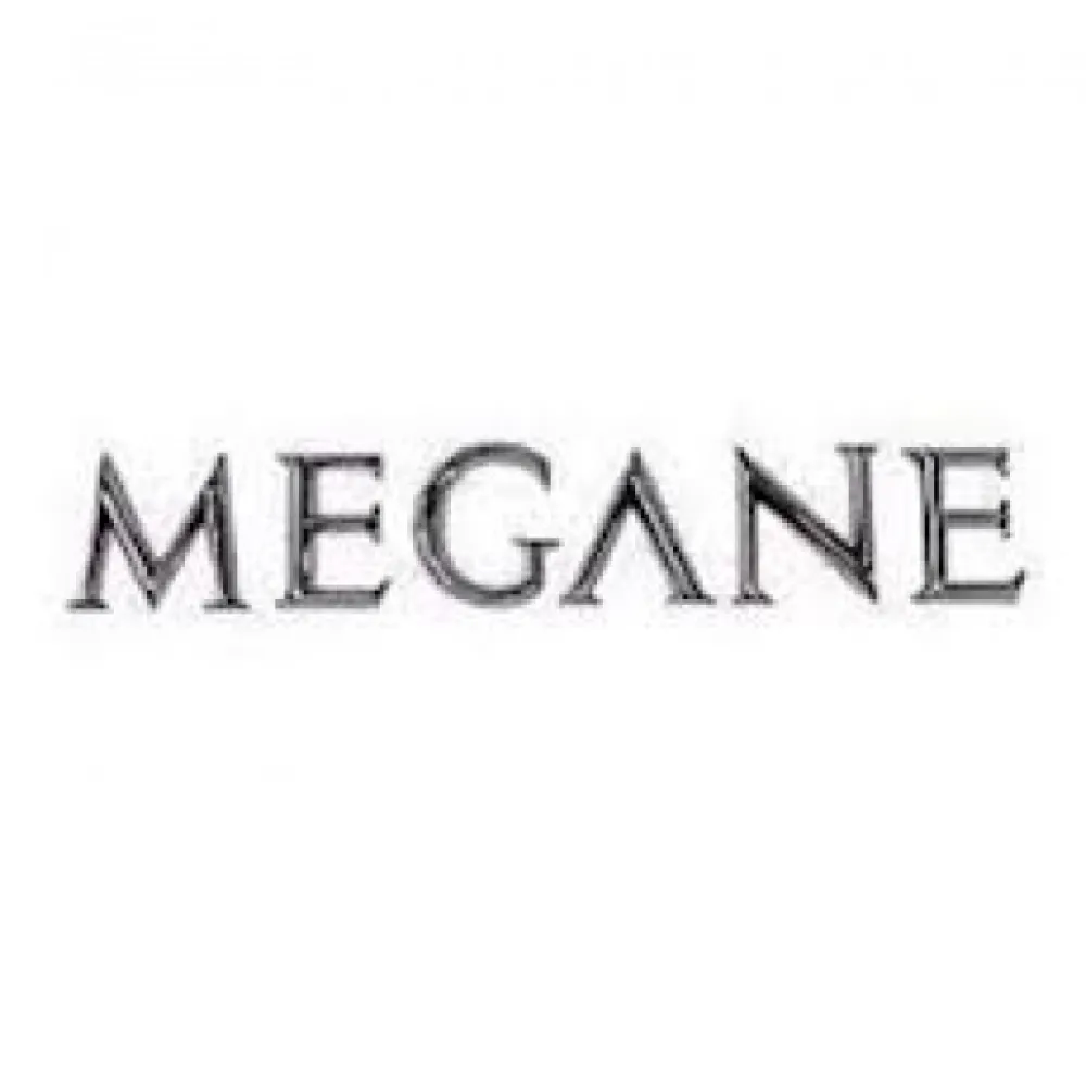 Arka Yazi Mgn Ii 460