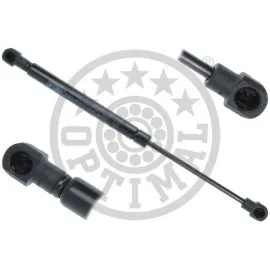 Bagaj Amortisoru Mercedes S-Class W221 05 13